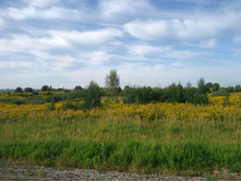 20220820 ������-200 ������� ���������� 074943.jpg