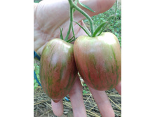 IMG����� 2.jpg