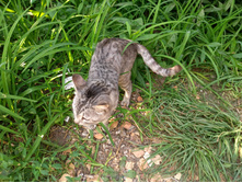 20220827 ��������� � ������� ����� 153649.jpg