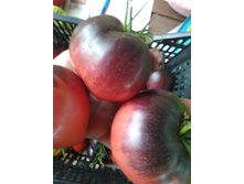 IMG���� �� 2.jpg