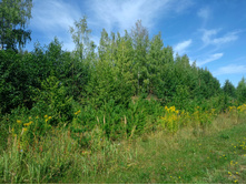 20220820 ������-200 ������� ���������� 103057.jpg