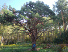 20220827 ��������� � ������� ����� 144718.jpg