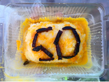 20220917 ������-200 ����������� 174929.jpg