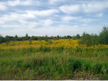 20220820 ������-200 ������� ���������� 074936.jpg