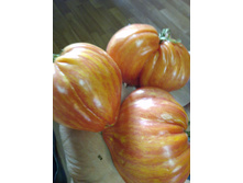 IMG����� ������ 2.jpg