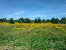 20220820 ������-200 ������� ���������� 115221.jpg