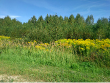 20220820 ������-200 ������� ���������� 114614.jpg