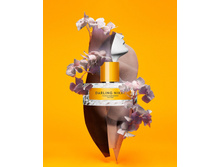 Darling Nikki Vilhelm Parfumerie � � 100 �� 11600+%+����