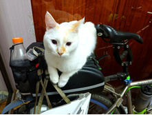 20220902 ������-300 ������������ ������������ 201057.jpg