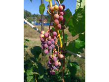 20220821 ����� ����� 134035.jpg