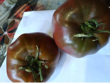 ���� ��������� ������ 1