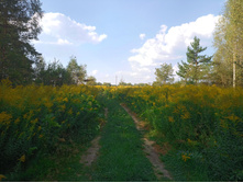 20220827 ��������� � ������� ����� 144806.jpg