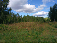 20220903 ������-300 ������������ ������������ 144212.jpg