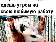 IMG 20220906 055125.jpg