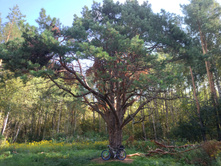 20220827 ��������� � ������� ����� 144633.jpg