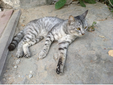 20220827 ��������� � ������� ����� 152354.jpg