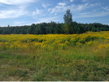 20220820 ������-200 ������� ���������� 093713.jpg