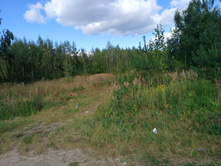 20220903 ������-300 ������������ ������������ 144211.jpg