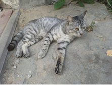 20220827 ��������� � ������� ����� 152353.jpg