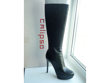 ������ Calipso, ���.����, 40 �-�, 5000 ���