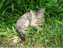 20220827 ��������� � ������� ����� 153732.jpg