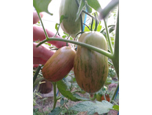 IMG ����� 2.jpg