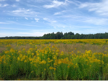 20220820 ������-200 ������� ���������� 095015.jpg