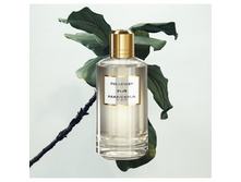FIG EXTASY MANCERA � � 120 �� 5900+%+����