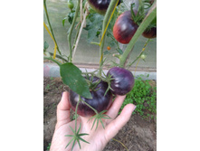 IMG ���� ��� 2.jpg