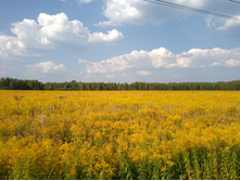 20220827 ��������� � ������� ����� 145153.jpg