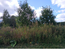 20220903 ������-300 ������������ ������������ 143541.jpg