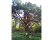 20220827 ��������� � ������� ����� 144552.jpg