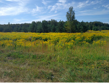 20220820 ������-200 ������� ���������� 093714.jpg