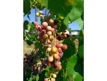 20220821 ����� ����� 134041.jpg