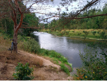 20220903 ������-300 ������������ ������������ 110134.jpg