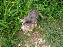 20220827 ��������� � ������� ����� 153650.jpg