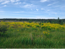 20220820 ������-200 ������� ���������� 094733.jpg