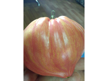 IMG����� ����� 1.jpg