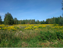 20220820 ������-200 ������� ���������� 130512.jpg