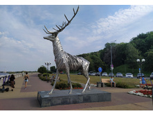 IMG 20220828 140734.jpg