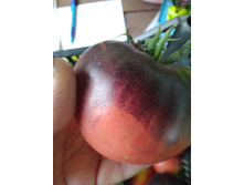 IMG���� ���� 1.jpg