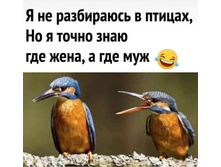 IMG 20220911 070440.jpg