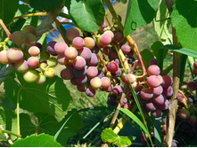 20220821 ����� ����� 134049.jpg