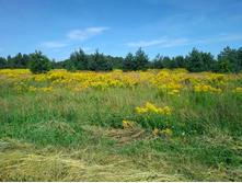 20220820 ������-200 ������� ���������� 115220.jpg