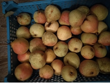 IMG 20220914 232254.jpg