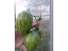 IMG����� ���.jpg