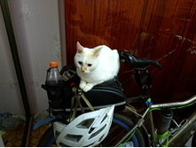 20220902 ������-300 ������������ ������������ 200946.jpg