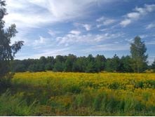 20220820 ������-200 ������� ���������� 093729.jpg