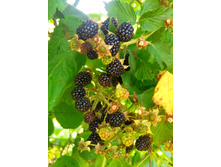 20220821 ����� ����� 134324.jpg