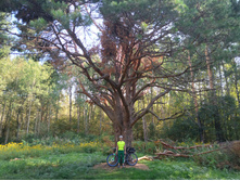 20220827 ��������� � ������� ����� 144601.jpg